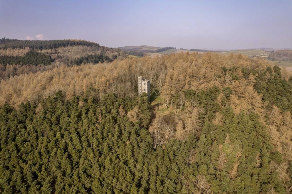 Binnhill Tower 