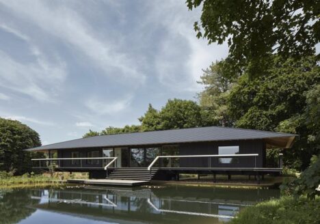 Blackbird © James Brittain