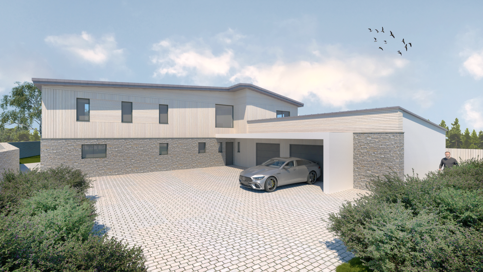 Proposed Visualisation of Braddicks